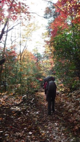 Backpacking along Jack's River in Cohutta Wilderness Area - Oct 2015